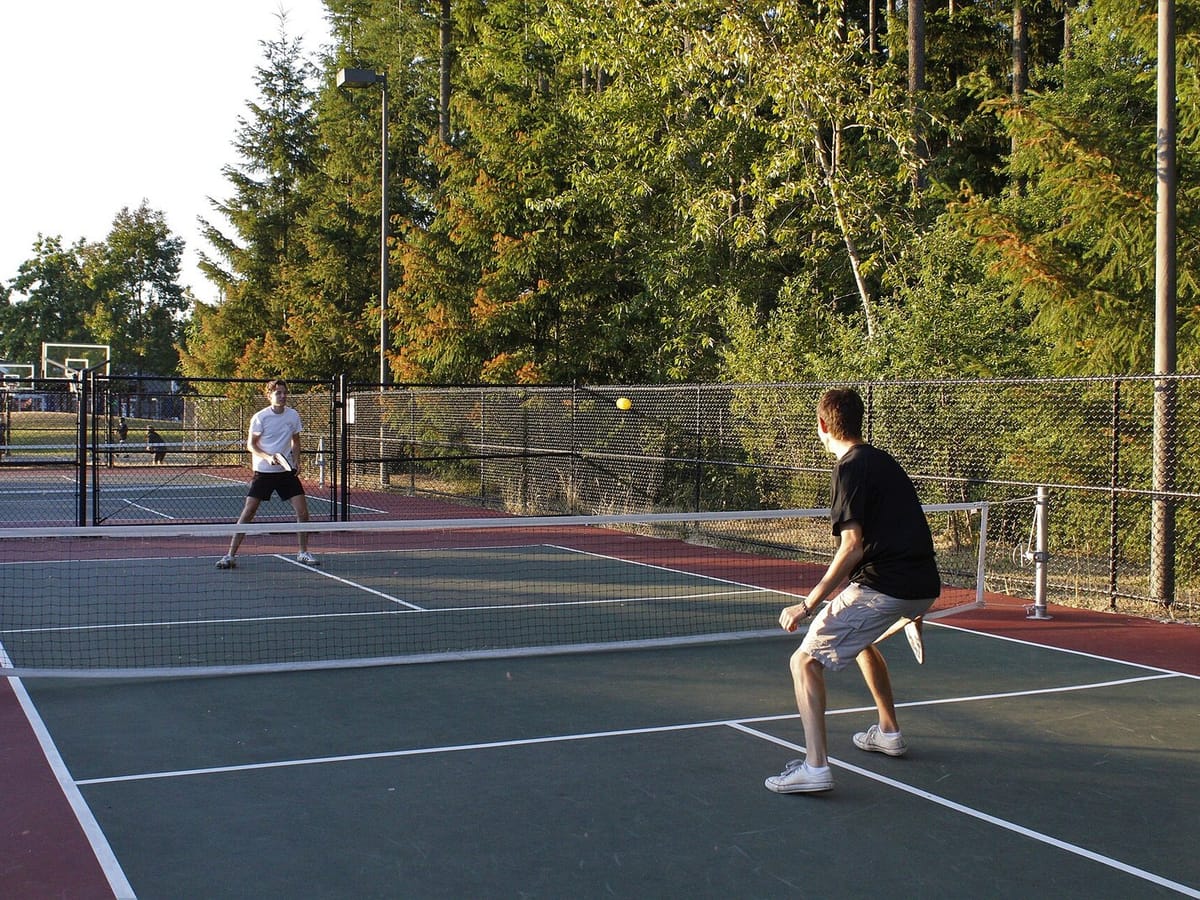 A paddle and balls on a bench beside a court